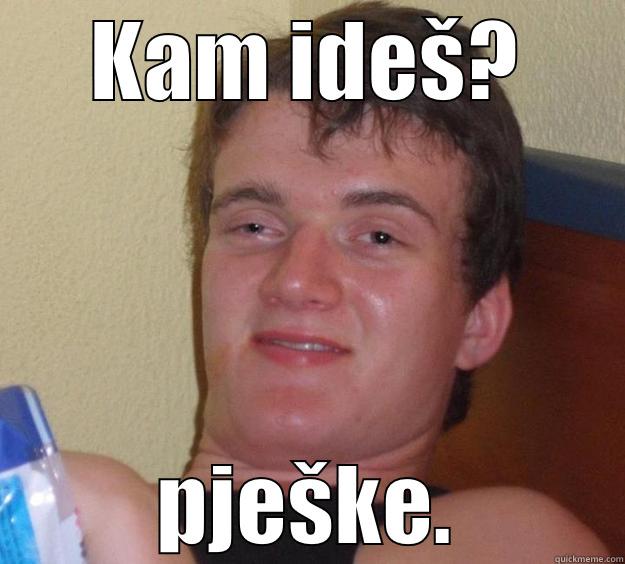 kam ideš e - KAM IDEŠ? PJEŠKE. 10 Guy