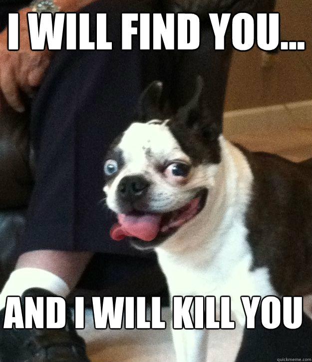 I will find you... And i will kill you - I will find you... And i will kill you  Derp Dog Moe