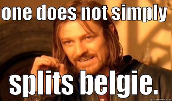 ONE DOES NOT SIMPLY  SPLITS BELGIE. Boromir