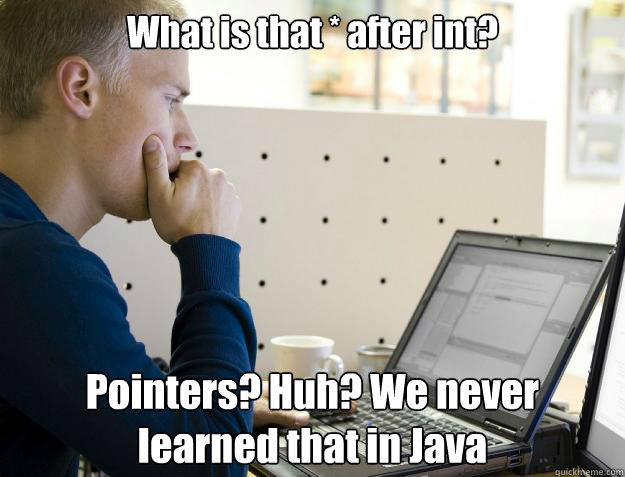 What is that * after int? Pointers? Huh? We never learned that in Java  Programmer