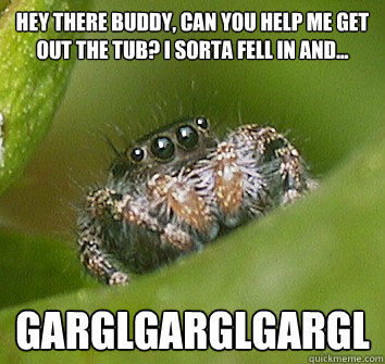 Hey there buddy, can you help me get out the tub? I sorta fell in and... GARGLGARGLGARGL  Misunderstood Spider