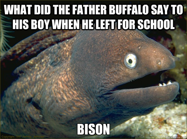 What did the father buffalo say to his boy when he left for school Bison - What did the father buffalo say to his boy when he left for school Bison  Bad Joke Eel