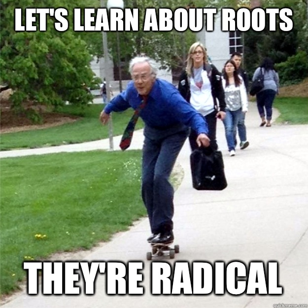 Let's learn about roots They're radical  Skating Prof