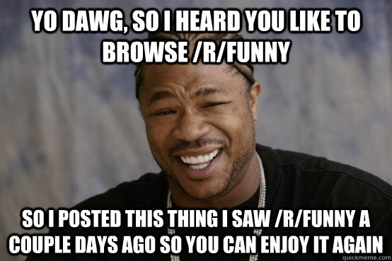 YO DAWG, So i heard you like to browse /r/funny  so i posted this thing i saw /r/funny a couple days ago so you can enjoy it again  YO DAWG