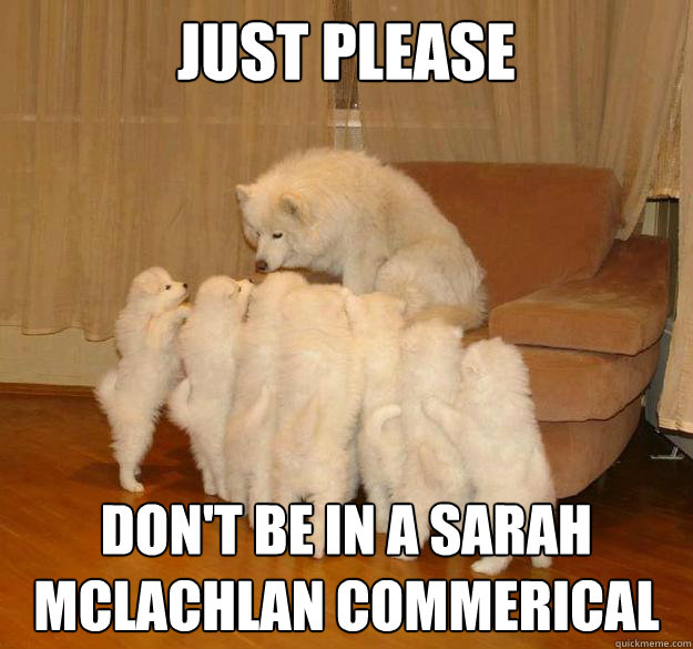 Just please Don't be in a Sarah Mclachlan commerical  - Just please Don't be in a Sarah Mclachlan commerical   Misc