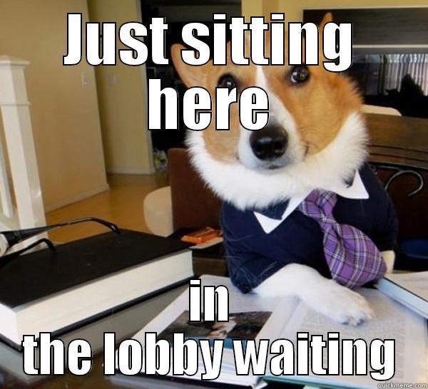 JUST SITTING HERE IN THE LOBBY WAITING Lawyer Dog