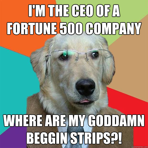 i'm the ceo of a fortune 500 company where are my goddamn beggin strips?!  Business Dog