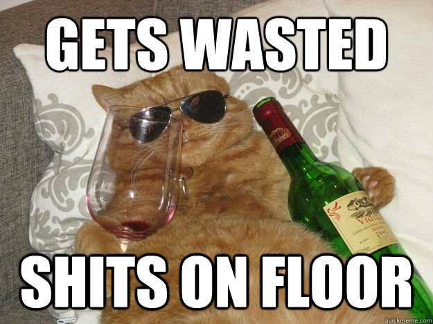 Gets wasted shits on floor  Party Cat