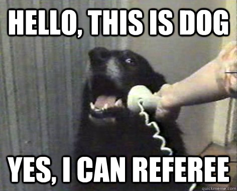 Hello, this is dog Yes, I can referee  