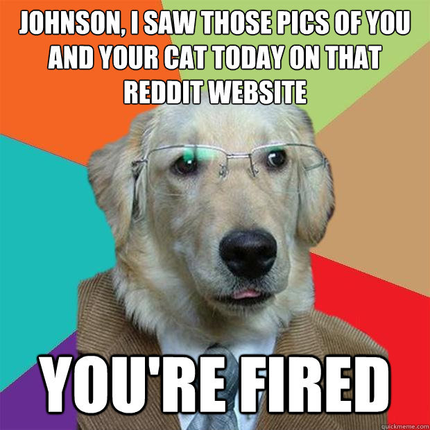 johnson, i saw those pics of you and your cat today on that reddit website you're fired - johnson, i saw those pics of you and your cat today on that reddit website you're fired  Business Dog