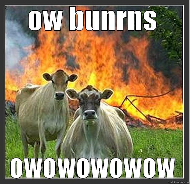 OW BUNRNS OWOWOWOWOW Evil cows