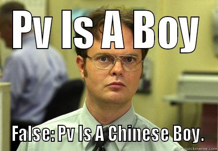 PV IS A BOY FALSE: PV IS A CHINESE BOY. Schrute