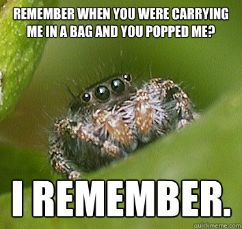 Remember when you were carrying me in a bag and you popped me? I remember. - Remember when you were carrying me in a bag and you popped me? I remember.  Misunderstood Spider