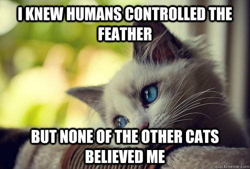 I knew humans controlled the feather But none of the other cats believed me - I knew humans controlled the feather But none of the other cats believed me  First World Cat Problems