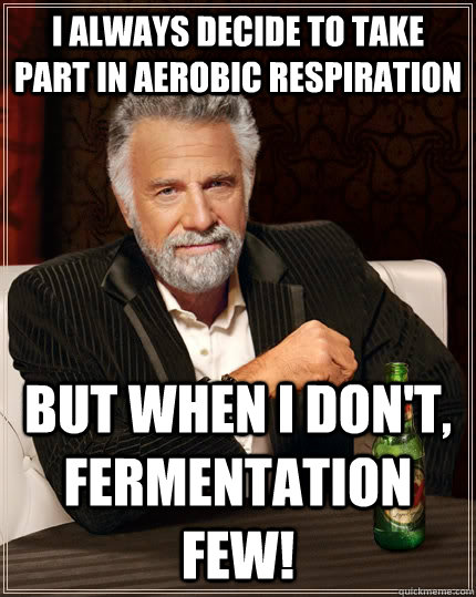 I always decide to take part in aerobic respiration but when I don't, fermentation few!  The Most Interesting Man In The World