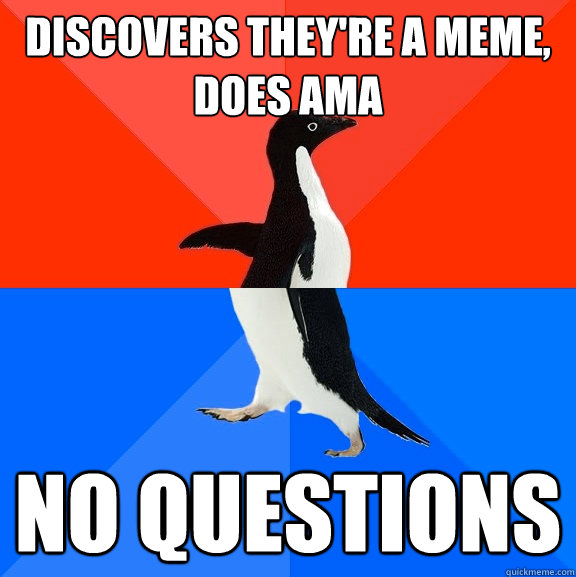 discovers they're a meme, does ama no questions - discovers they're a meme, does ama no questions  Socially Awesome Awkward Penguin