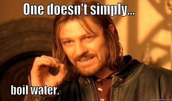       ONE DOESN'T SIMPLY...             BOIL WATER.                                                    Boromir