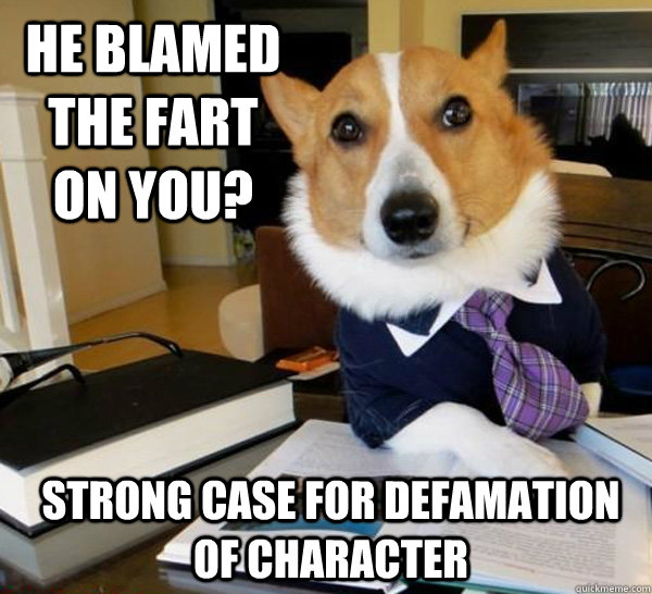 He blamed the fart on you? strong case for defamation of character  Lawyer Dog