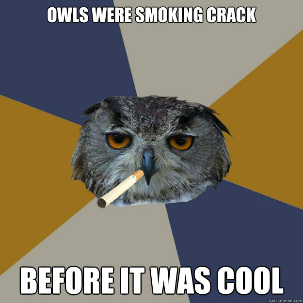 OWLS WERE SMOKING CRACK 


 BEFORE IT WAS COOL - OWLS WERE SMOKING CRACK 


 BEFORE IT WAS COOL  Art Student Owl