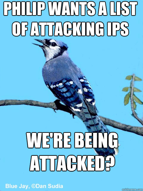 philip wants a list of attacking IPs we're being attacked?  Blue Team Bird