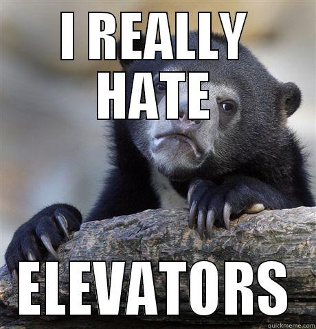 I REALLY HATE ELEVATORS Confession Bear