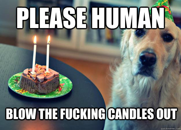 Please Human Blow The Fucking Candles Out  Sad Birthday Dog