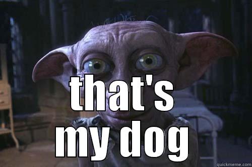 dobby's dog -  THAT'S MY DOG Misc