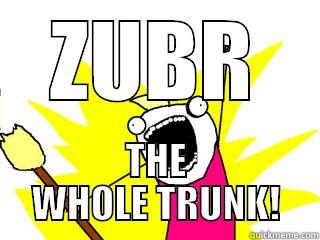 ZUBR THE WHOLE TRUNK! All The Things