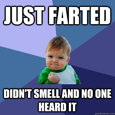 just farted didn't smell and no one heard it  Success Kid