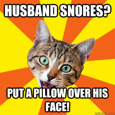 Husband snores? Put a pillow over his face! - Husband snores? Put a pillow over his face!  Bad Advice Cat