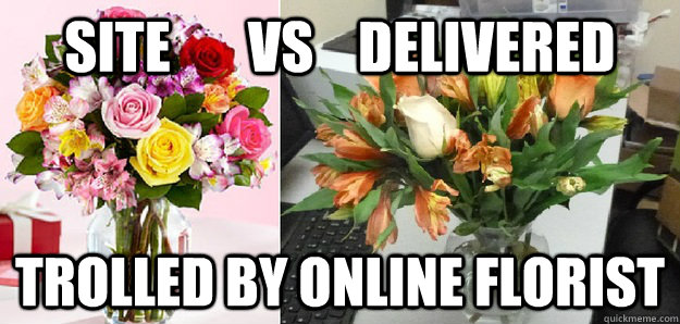 SITE       VS    DELIVERED TROLLED BY ONLINE FLORIST - SITE       VS    DELIVERED TROLLED BY ONLINE FLORIST  onlineflorist