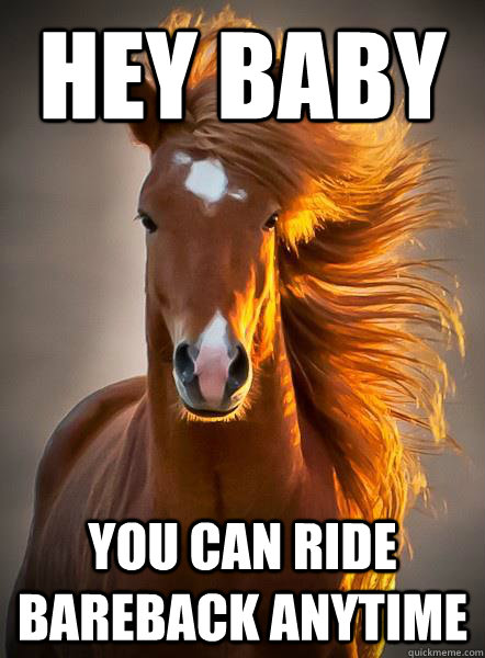 hey baby you can ride Bareback anytime  Ridiculously Photogenic Horse