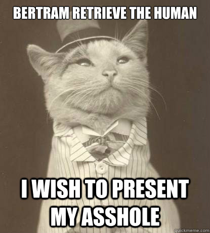 Bertram retrieve the human I wish to present my asshole  