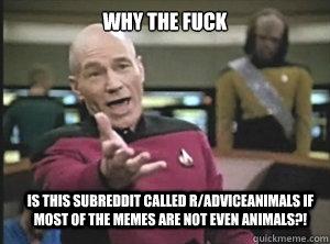 why the fuck is this subreddit called r/adviceanimals if most of the memes are not even animals?!  Annoyed Picard