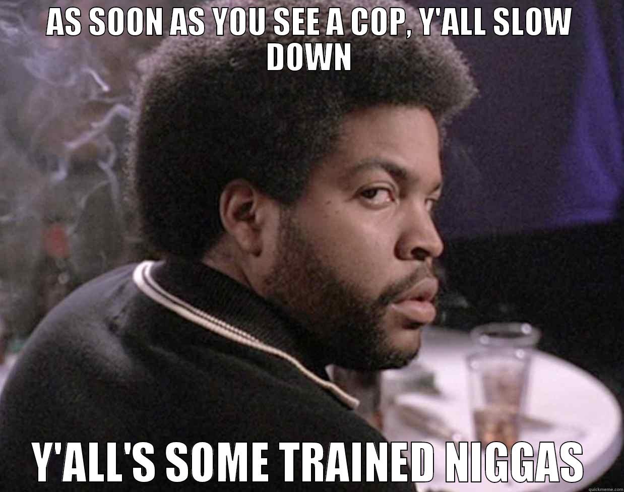 AS SOON AS YOU SEE A COP, Y'ALL SLOW DOWN Y'ALL'S SOME TRAINED NIGGAS Misc