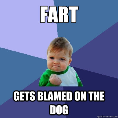 fart gets blamed on the dog  Success Kid