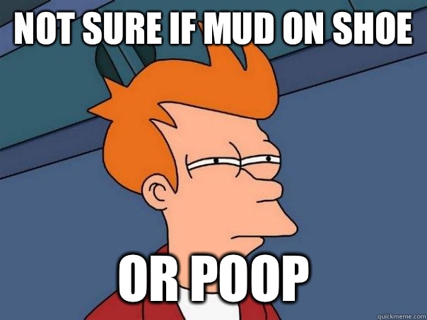 Not sure if mud on shoe Or poop  Futurama Fry