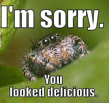 Spider Apology - I'M SORRY.  YOU LOOKED DELICIOUS. Misunderstood Spider