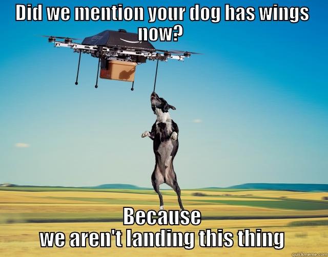 DID WE MENTION YOUR DOG HAS WINGS NOW?  BECAUSE WE AREN'T LANDING THIS THING Misc