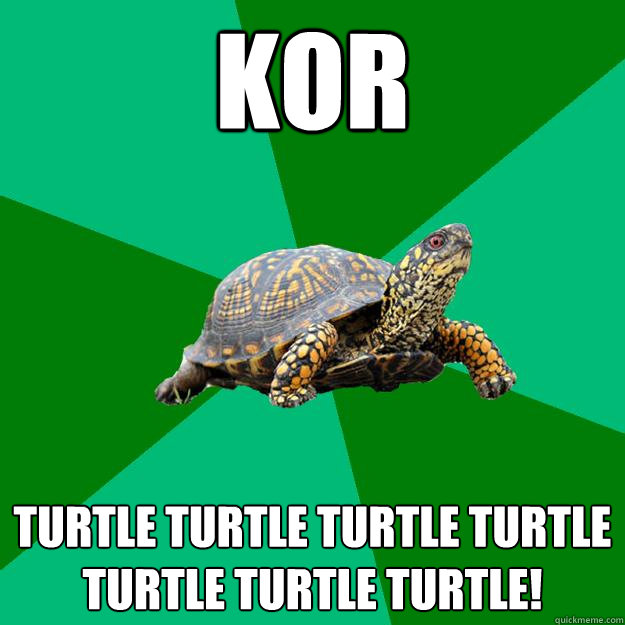 KOR turtle turtle turtle turtle turtle turtle turtle!  Torrenting Turtle