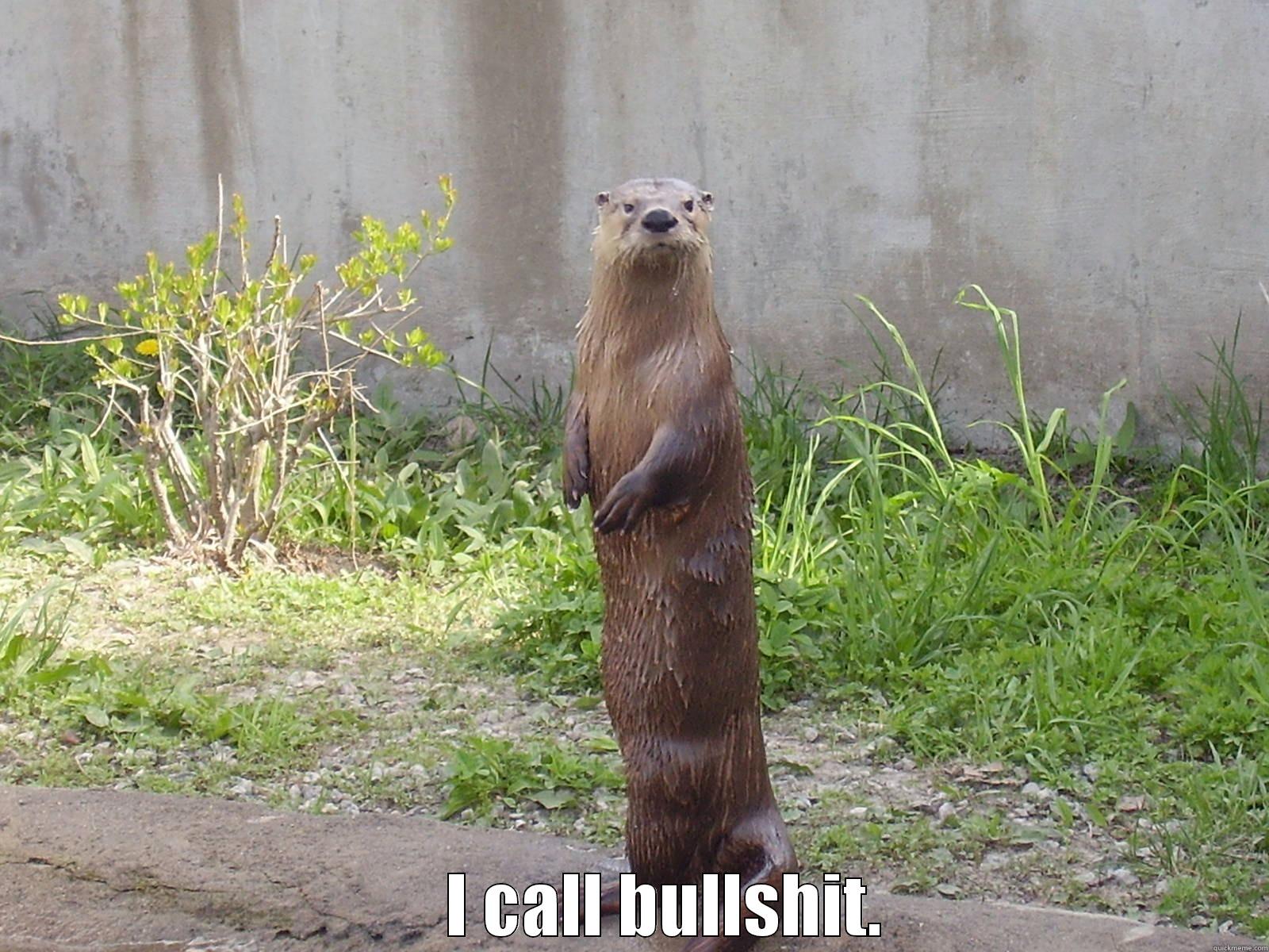 Funny otter -       I CALL BULLSHIT. Misc