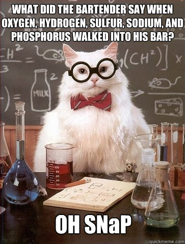 WHAT DID THE BARTENDER SAY WHEN  OXYGEN, HYDROGEN, SULFUR, SODIUM, AND PHOSPHORUS WALKED INTO HIS BAR?
 OH SNaP - WHAT DID THE BARTENDER SAY WHEN  OXYGEN, HYDROGEN, SULFUR, SODIUM, AND PHOSPHORUS WALKED INTO HIS BAR?
 OH SNaP  Chemistry Cat