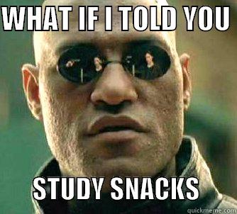 WHAT IF I TOLD YOU           STUDY SNACKS       Matrix Morpheus