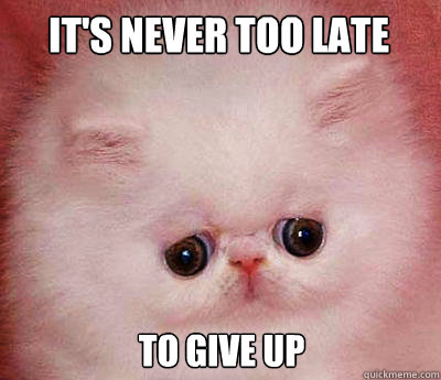 it's never too late to give up - it's never too late to give up  Tragically Optimistic Cat