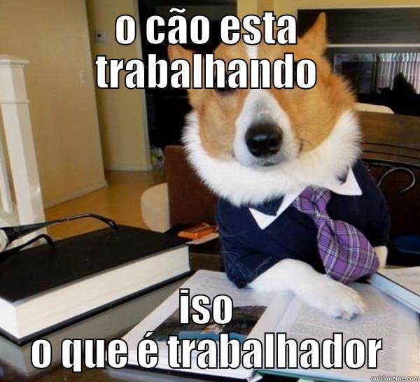 O CÃO ESTA TRABALHANDO ISO O QUE É TRABALHADOR Lawyer Dog