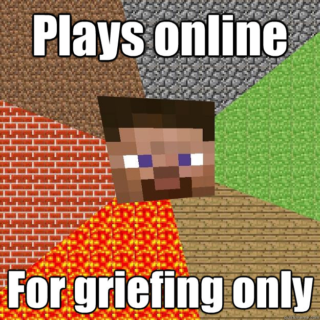 Plays online For griefing only - Plays online For griefing only  Minecraft