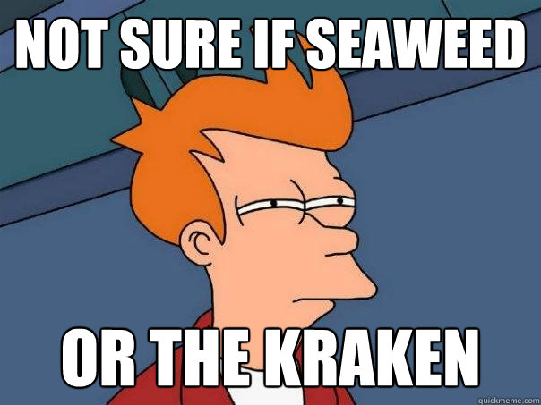 Not sure if seaweed  or the kraken  Futurama Fry