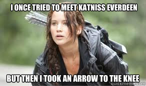 I once tried to meet katniss everdeen But then I took an arrow to the knee - I once tried to meet katniss everdeen But then I took an arrow to the knee  The Hunger Games Meme