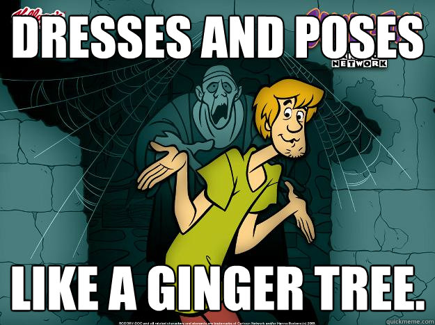 dresses and poses like a ginger tree.  Irrational Shaggy