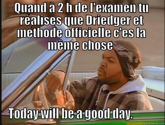 interprétation bichez - QUAND À 2 H DE L'EXAMEN TU RÉALISES QUE DRIEDGER ET MÉTHODE OFFICIELLE C'ES LA MÊME CHOSE  TODAY WILL BE A GOOD DAY.           today was a good day